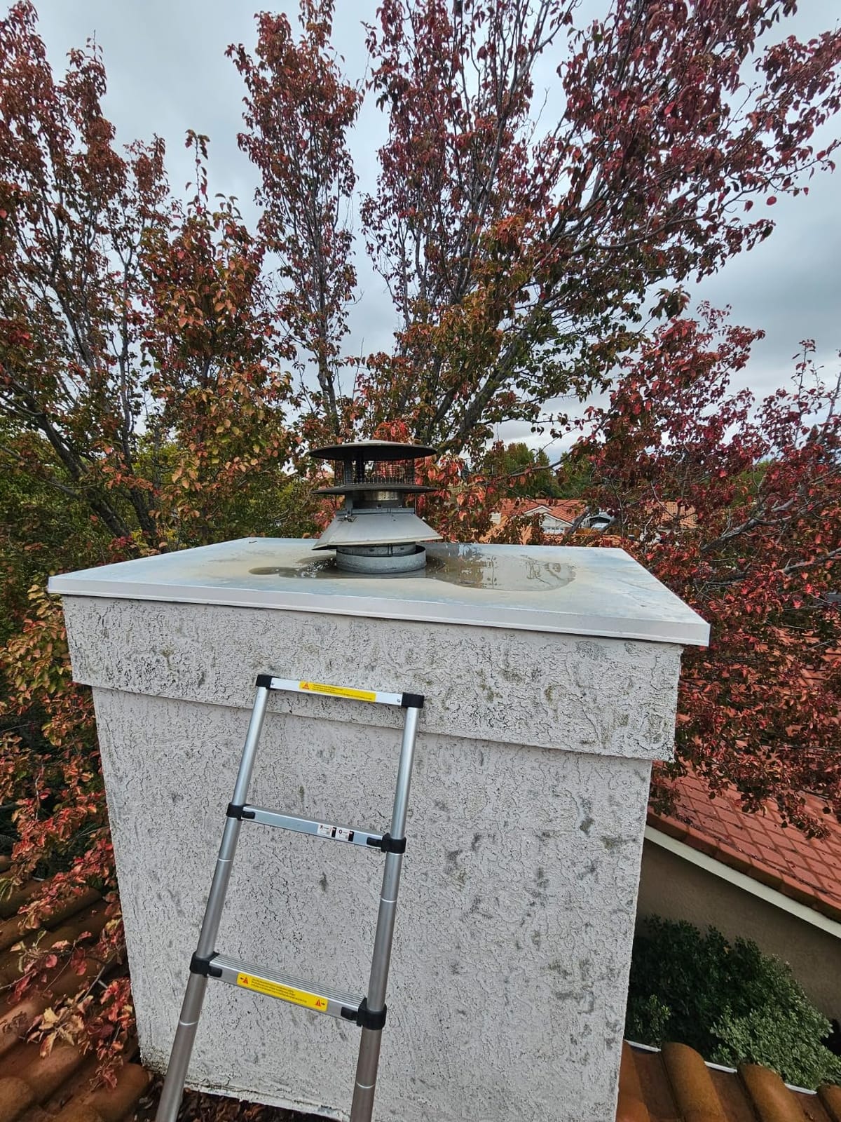 Telescoping Ladder 15 FT, Aluminum Extension Ladder with Non-Slip Feet customer photo 1
