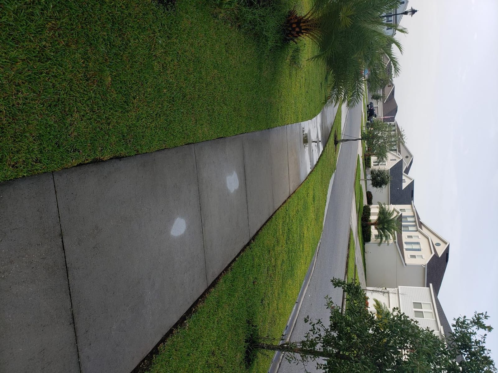 Kobalt 80-Volt Max Baretool 16-in Straight Cordless String Trimmer 2nd Generation (Battery Not Included) customer photo 1