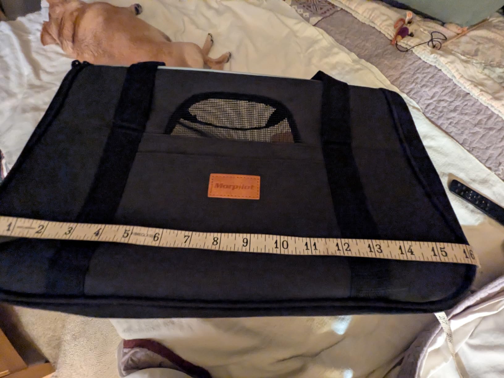 Morpilot Cat Carrier Soft for Large Medium Cats and Puppy up to 20lbs customer photo 2