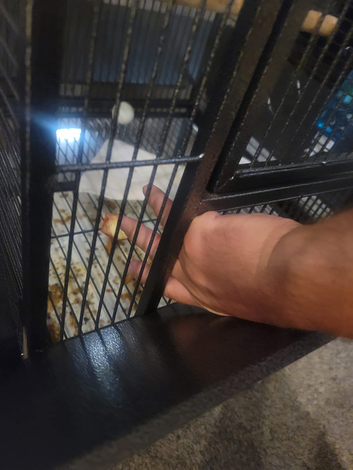 SUPER DEAL 68-inch Large Bird Cage with Rolling Stand African Grey Parrot Chinchilla Finch Cage Conure Cockatiel Cockatoo Pet House Wrought Iron Birdcage, Black customer photo 1