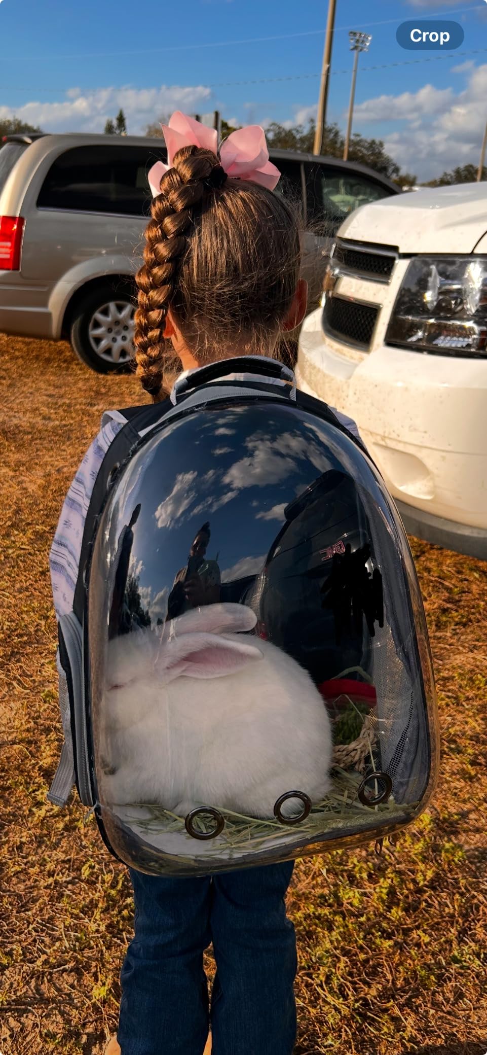 Cat Backpack Carrier Breathable Pet Travel Bag for Cats Dogs Bunny customer photo 1