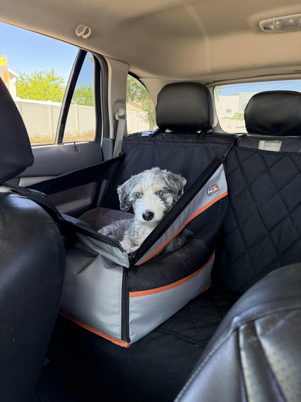 K&H Buckle N Go Dog Car Seat for Medium to Large Pets, 21 X 19 X 19in customer photo 1