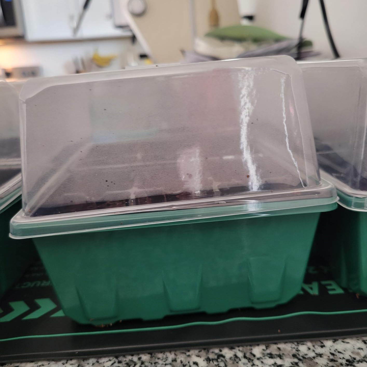 Gardzen 5-Set Seed Starter Tray Kits, Durable Plant Germination Trays with Humidity Vented Domes and Bases, Ideal for Seed Starting, Indoor Gardening, and Greenhouse (Total 200 Cells) | Durable Plant Germination Kit with Humidity Control Domes for Indoor Gardening, Greenhouse and Starting Seeds customer photo 2