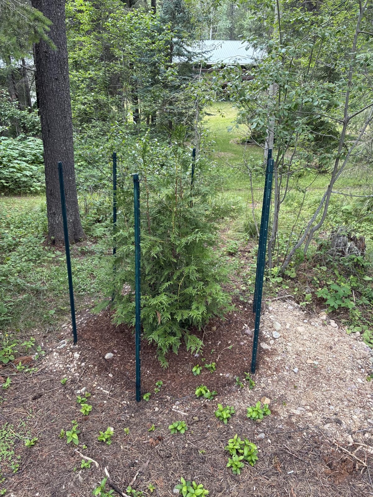 Feitore Deer Fence Netting, 7x100ft Garden Net Bird Netting,Reinforced Edge customer photo 2