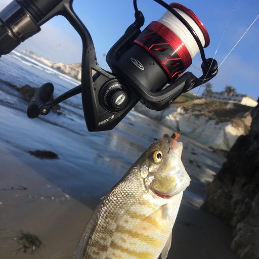 Penn Fierce III Spinning Inshore Fishing Reel, Size 2000, Right/Left Handle Position, 5 Bearings for Smooth Operation customer photo 2