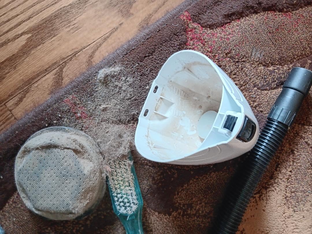 Simplicity Vacuums Flash Mini Handheld Vacuum, F1 customer photo 2