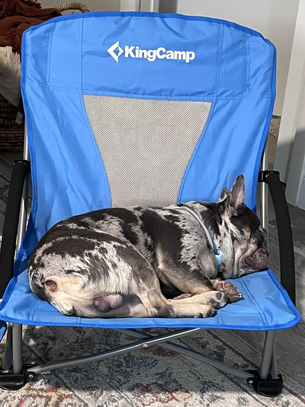 KingCamp Low Beach Chairs 2 Pack, Folding Portable High Back Chair customer photo 1