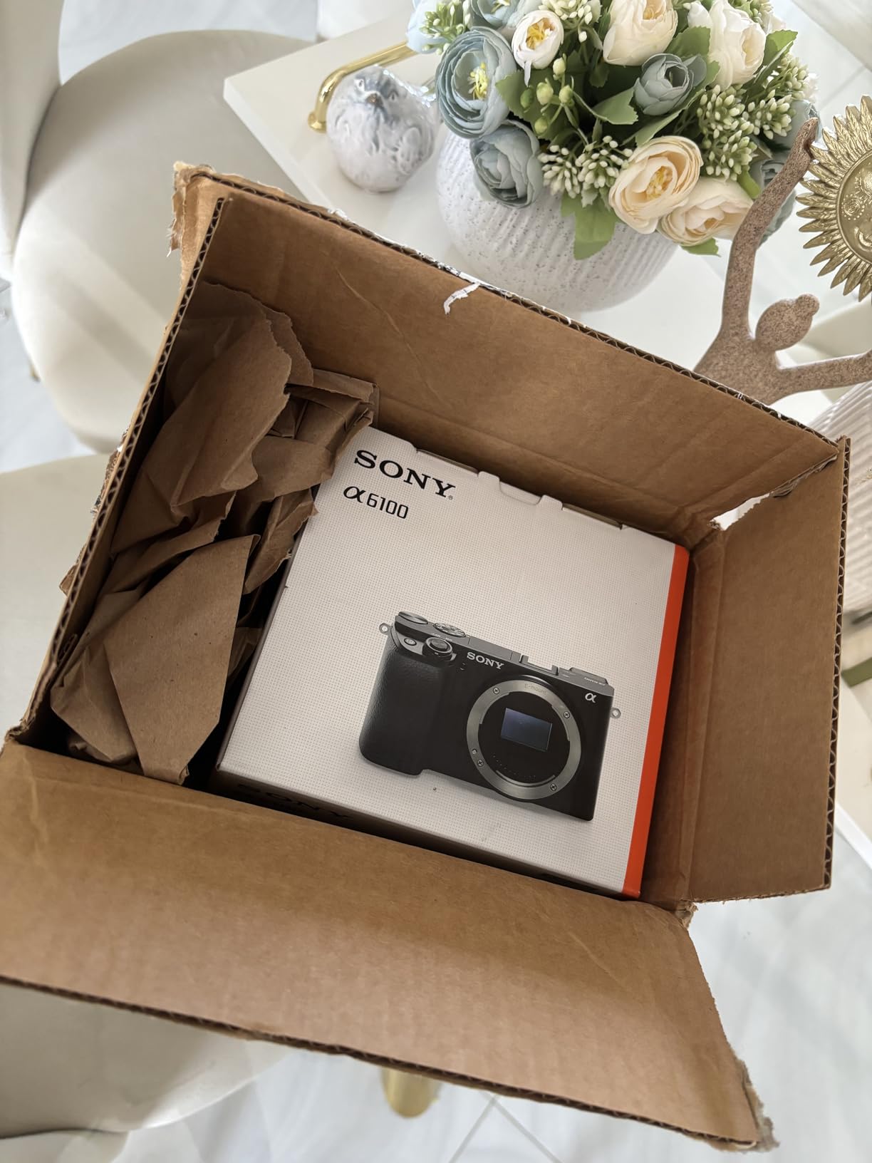 Sony Alpha A6100 Mirrorless Camera, Black customer photo 1