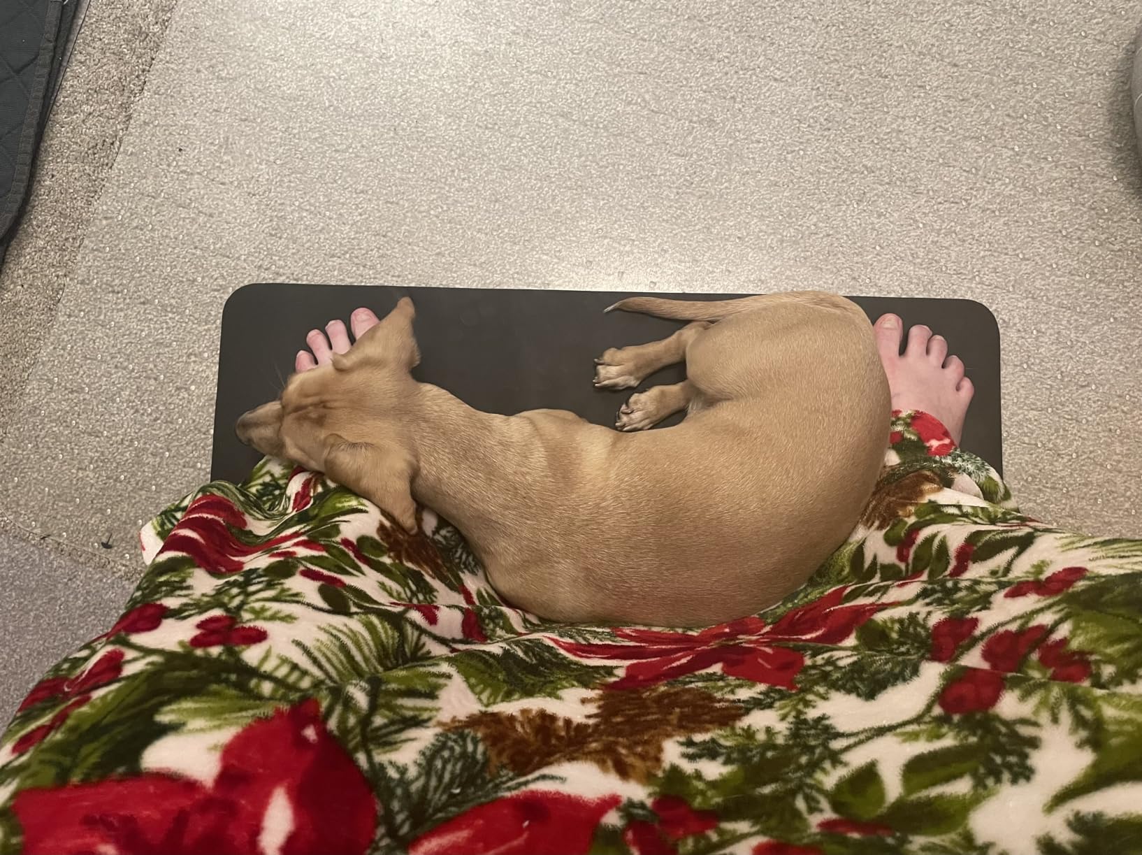 Ground Well Grounding Mat for Feet,Grounding Pad for Stress, Pain, Inflammation& Wellness Support, 26.7x10in Portable Size Grounding Mat, Indoor Grounding at Home,Office. 15Ft Cord Included. customer photo 2