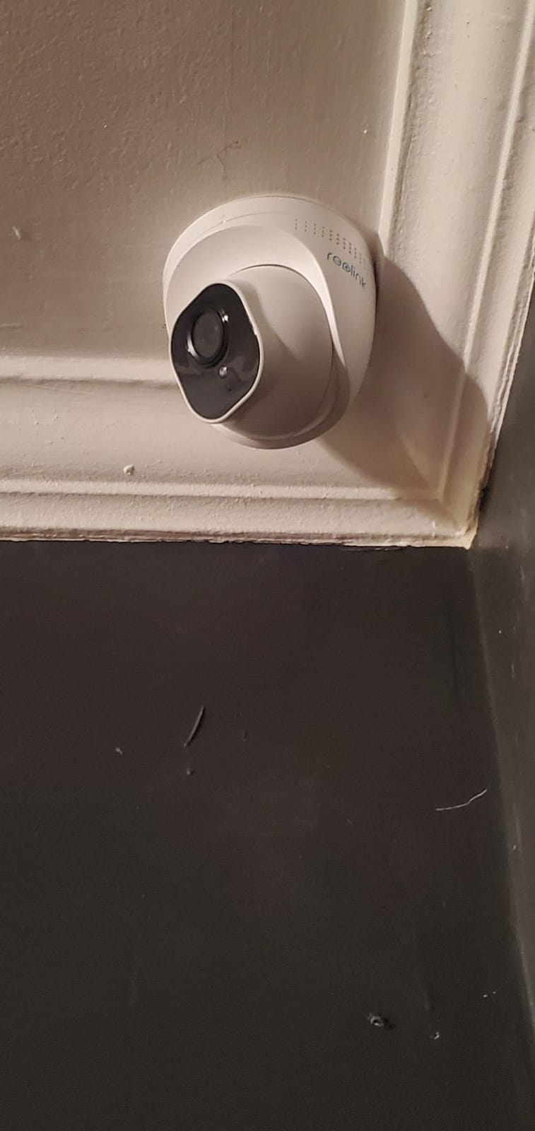 REOLINK RLC-820A 4K PoE Security Camera, Wired Outdoor Dome Surveillance customer photo 1