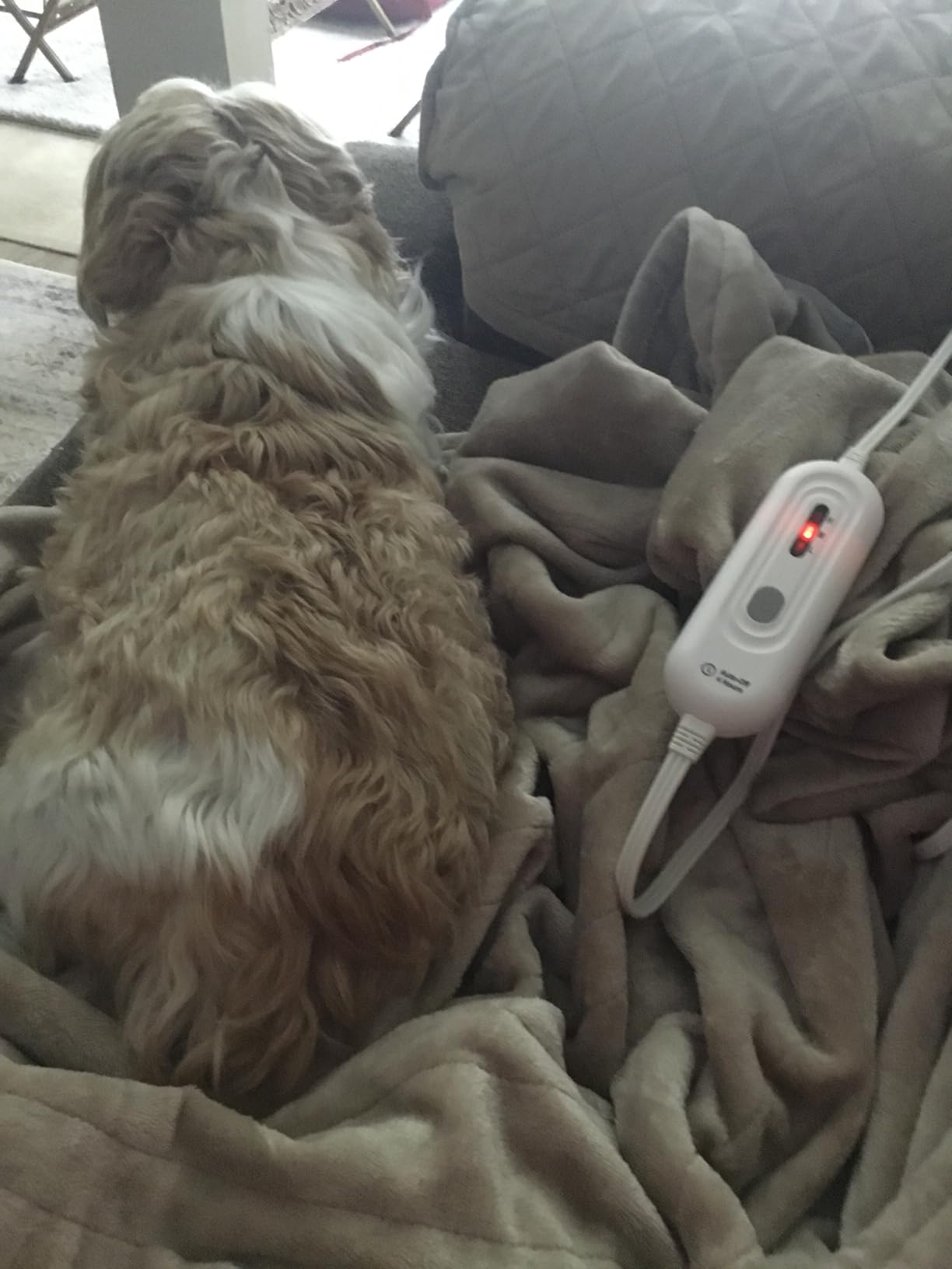 Tefici Heated Blanket Throw,Ultra Soft 2-Layer Flannel Electric Blanket customer photo 1