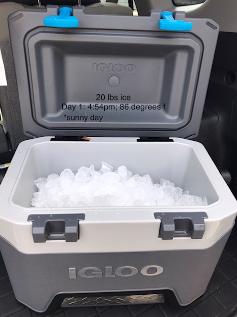 Igloo BMX Cooler | Insulated Hard Shell Ice Chest customer photo 1