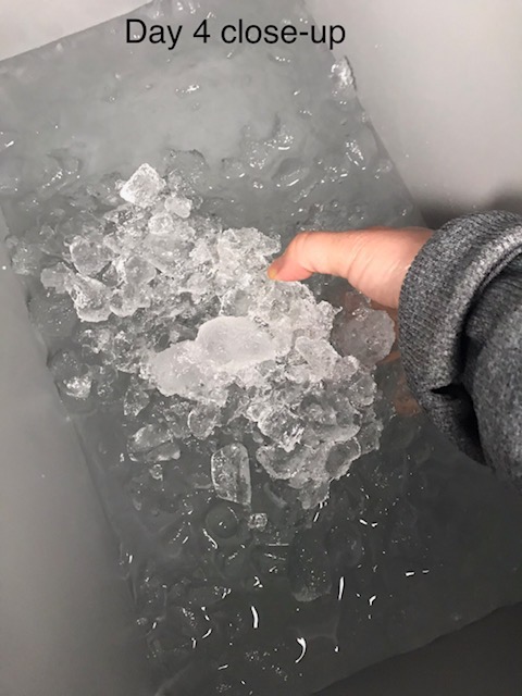 Igloo BMX Cooler | Insulated Hard Shell Ice Chest customer photo 2