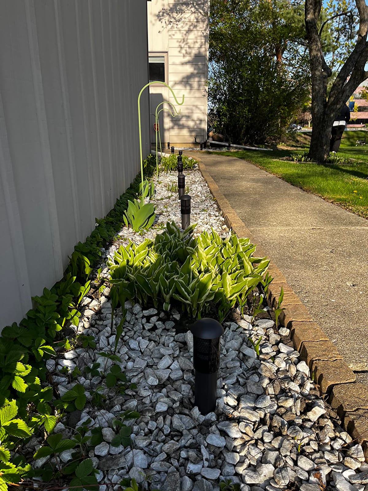 LEONLITE 12-Pack Low Voltage Landscape Pathway Lights, 3W, CRI90, 3000K customer photo 1