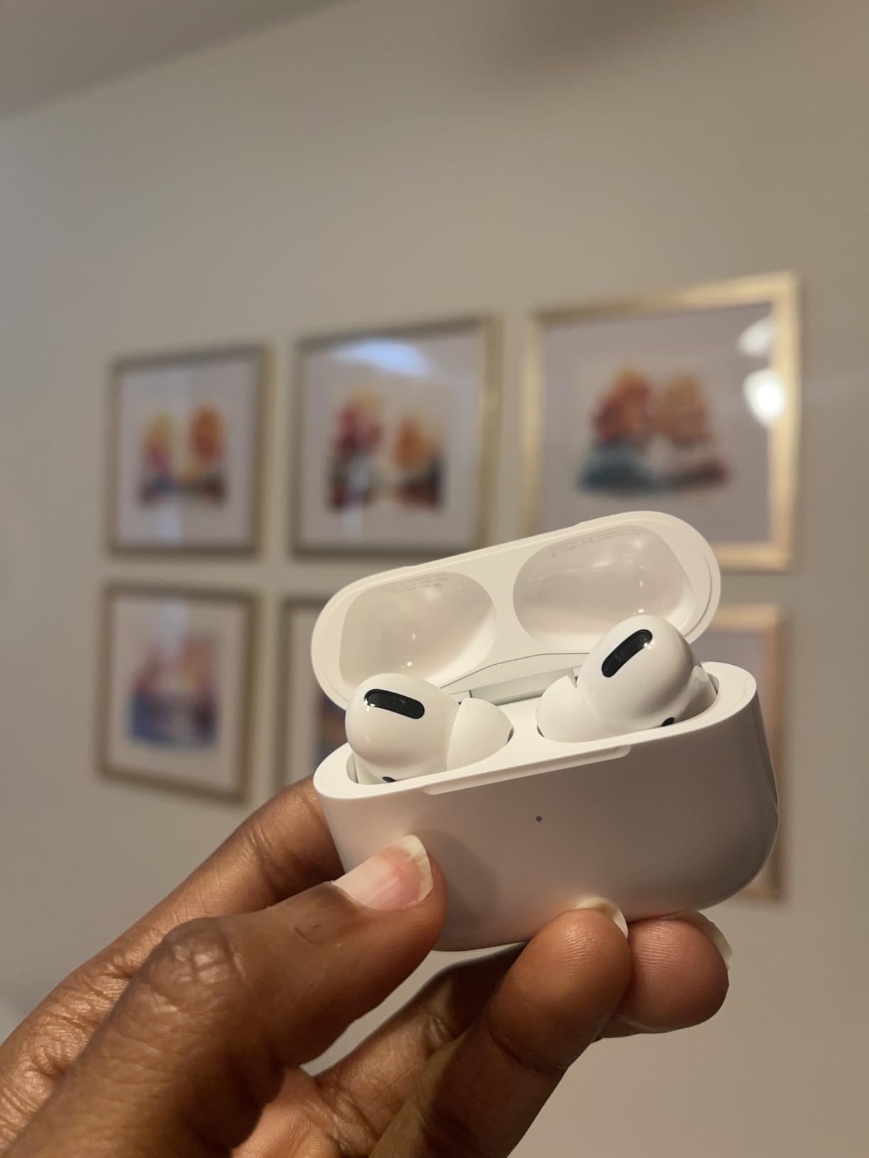 Apple AirPods Pro - 1st Gen (Renewed) customer photo 1