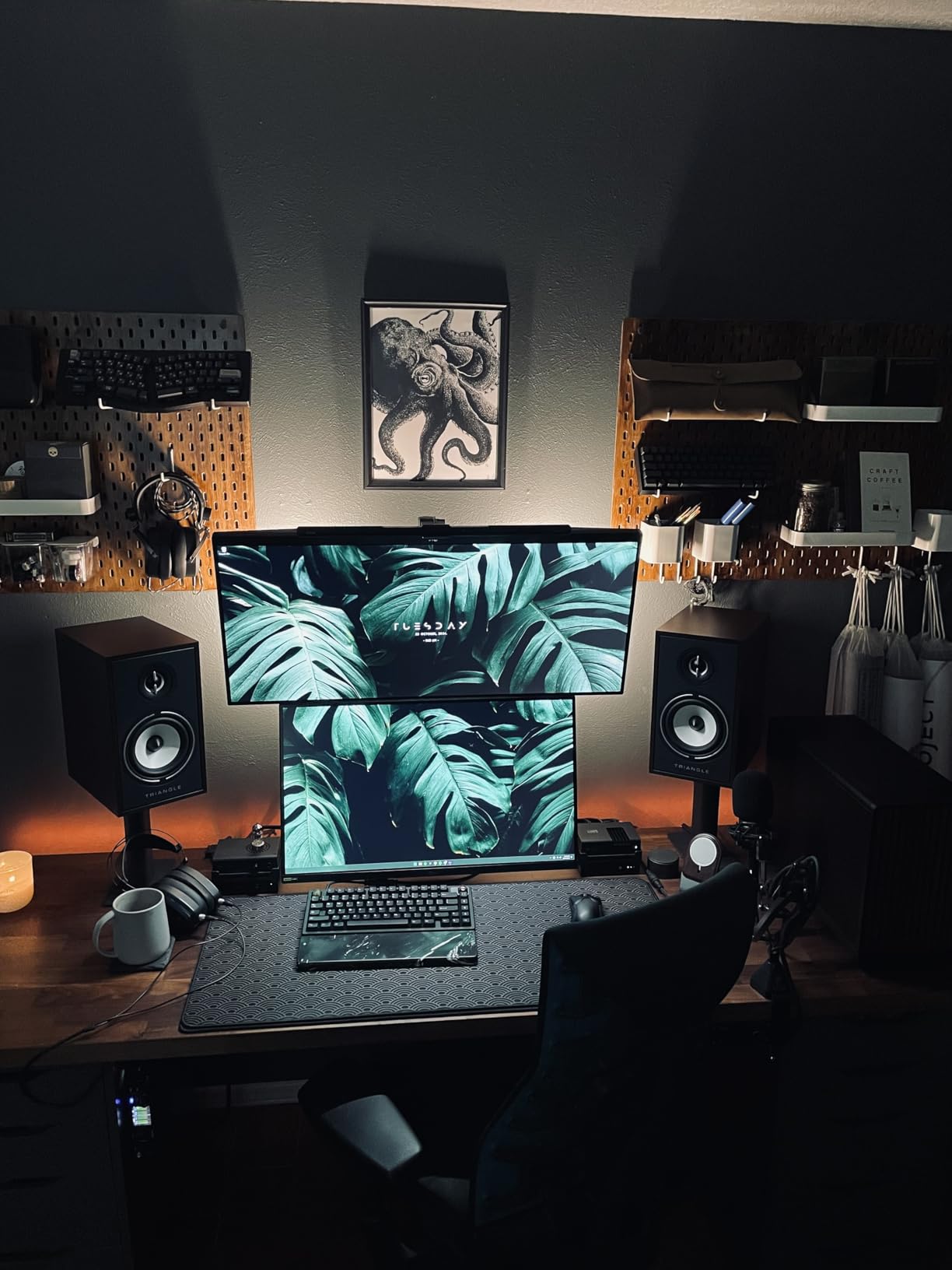 triangle - BOREA BR02 Hi-Fi Bookshelf Speakers - Power handling 80W - Output 89 dB/W/m - Versatile Music and Home Cinema - 176 x 310 x 274 mm - Black (Pair) customer photo 1