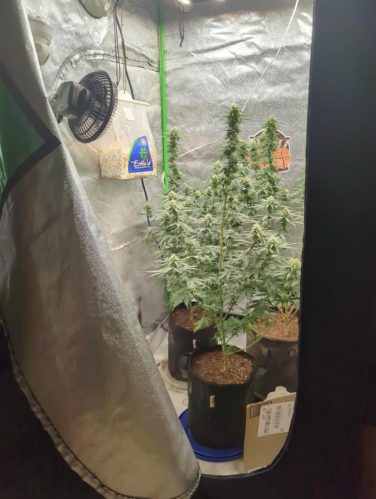 Spider Farmer 4.6x2.3 Grow Tent 55