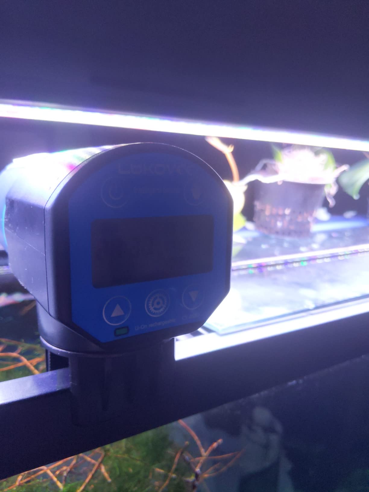 Lukovee Automatic Fish Feeder, USB Rechargeable Timer, 200ML Large Capacity customer photo 2