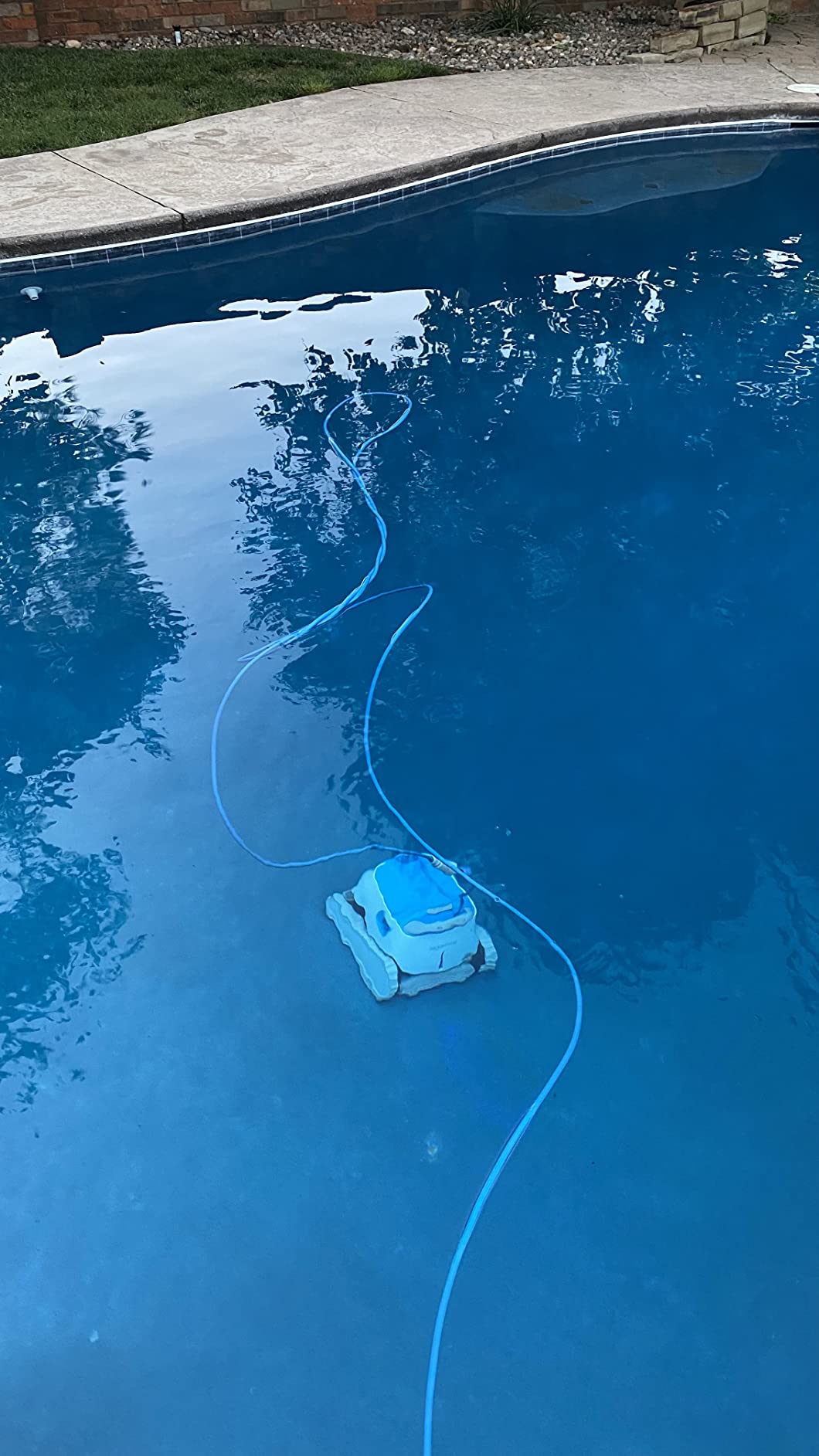 Dolphin Proteus DX5i Wi-Fi Automatic Robotic Pool Vacuum Cleaner, Wall Climbing, Waterline Scrubber Brush, Ideal for In-Ground Pool up to 50 FT in Length customer photo 1