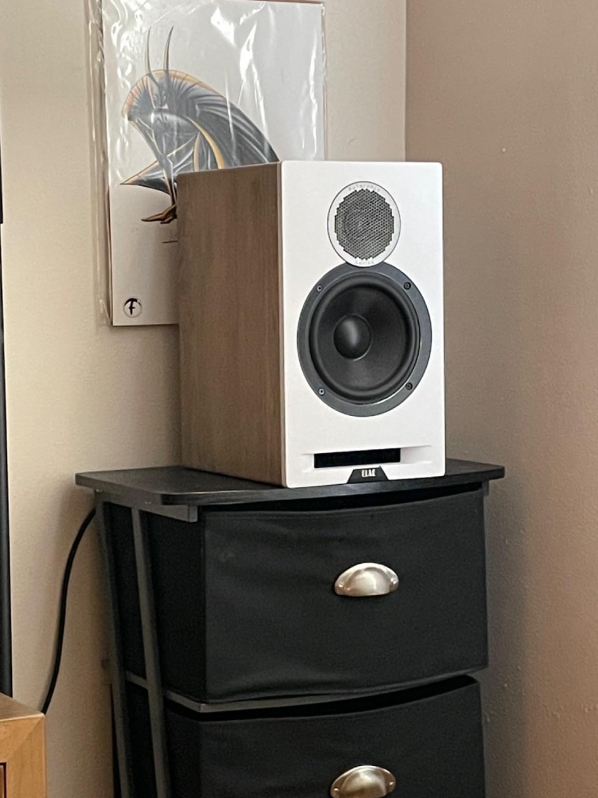 ELAC Debut Reference B6.2 Bookshelf Speakers - (Pair) White Baffle, Oak Cabinet customer photo 1