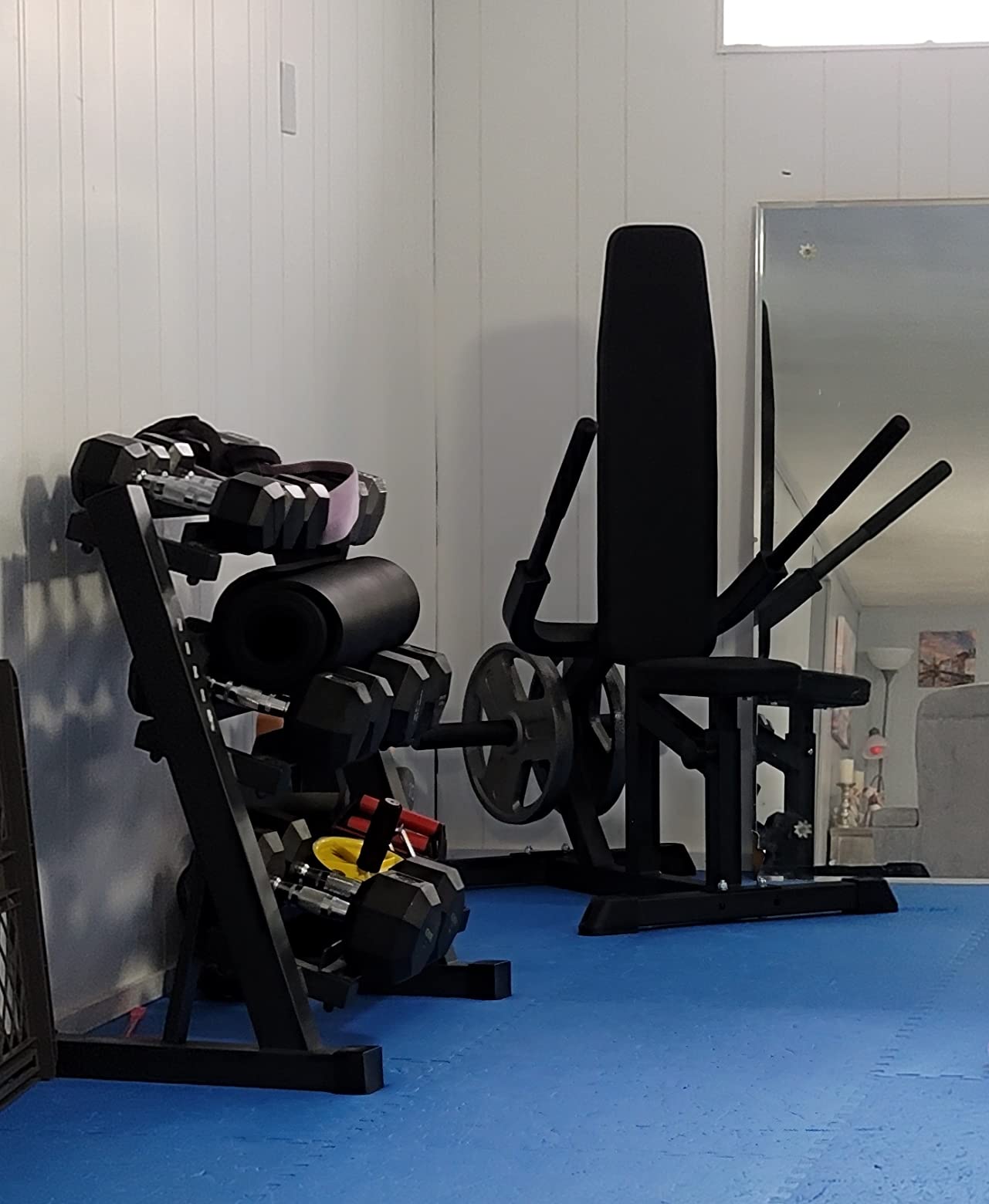 Titan Fitness Seated Dip Machine, Plate Loaded Dip Machine Rated 200 LB, Seated Triceps Dip Machine, Adjustable Padded Seat Backrest, Doubles as Bicep Curl Station customer photo 1