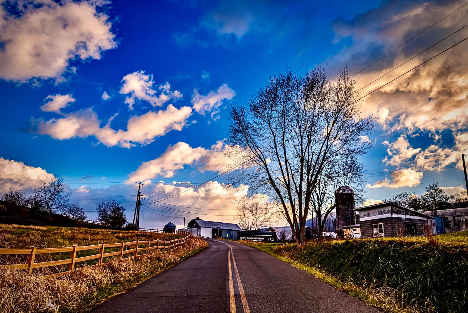 Canon RF24-105mm F4-7.1 is STM [24-105mm / F4-7.1 Canon RF Mount] customer photo 2