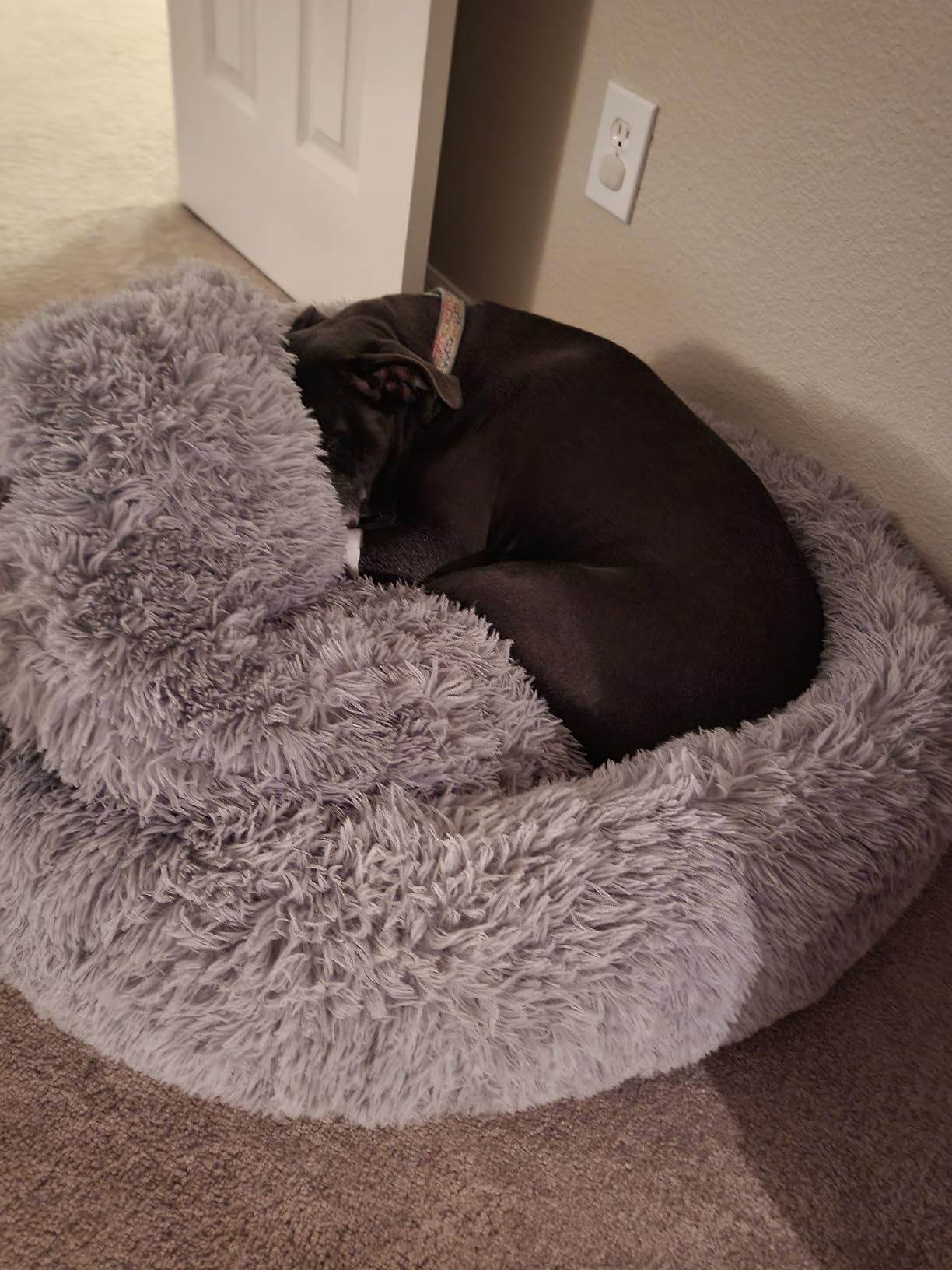 HACHIKITTY Calming Donut Cuddler Dog Bed, Round Fluffy Pet Bed with Sewn-in Cushion for Large Dogs,Washable, Large, Taupe, 30'' customer photo 1