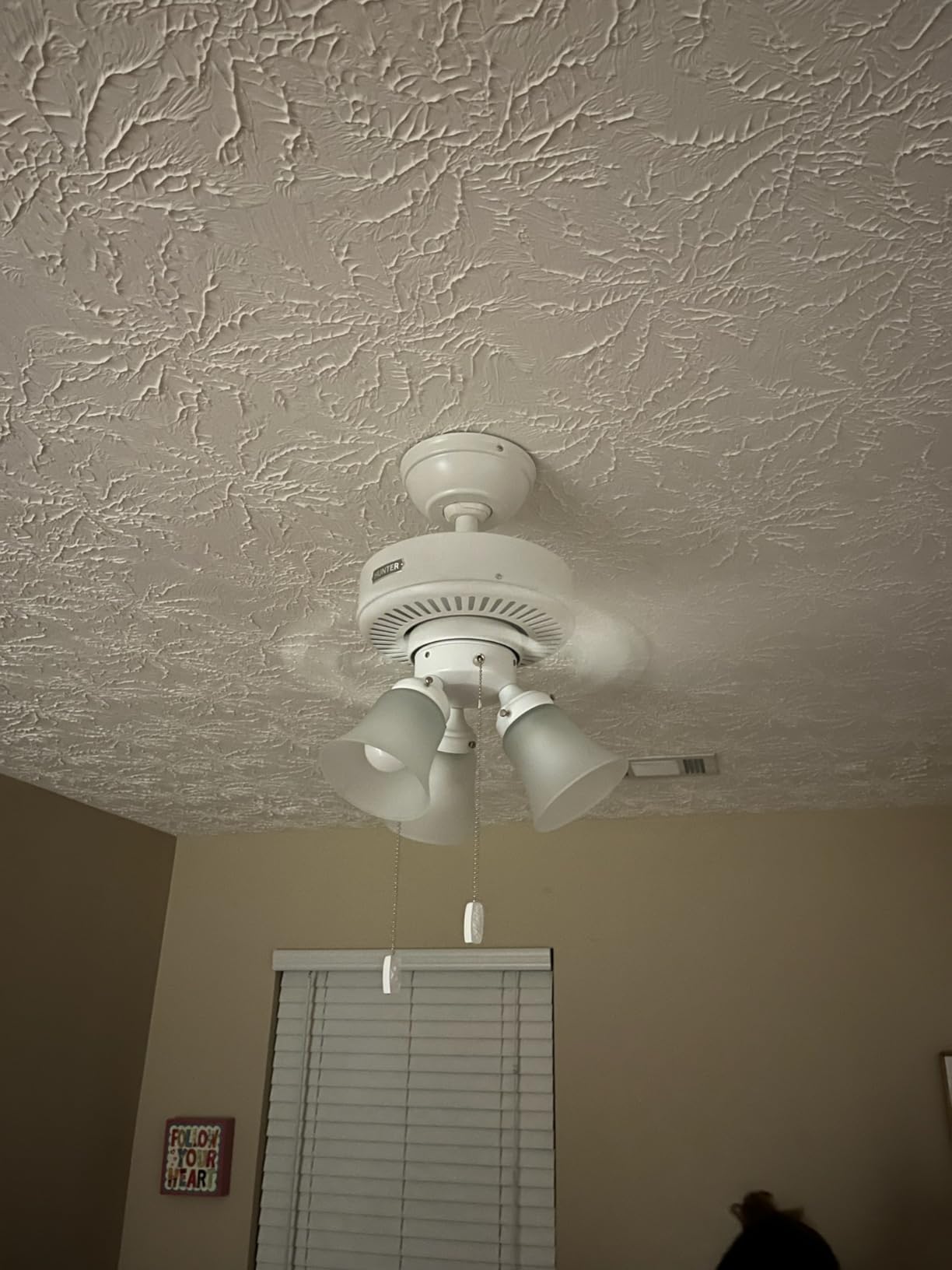 Hunter Swanson, Indoor, Ceiling Fan, with LED Lights, 44 inch, Fresh White customer photo 1