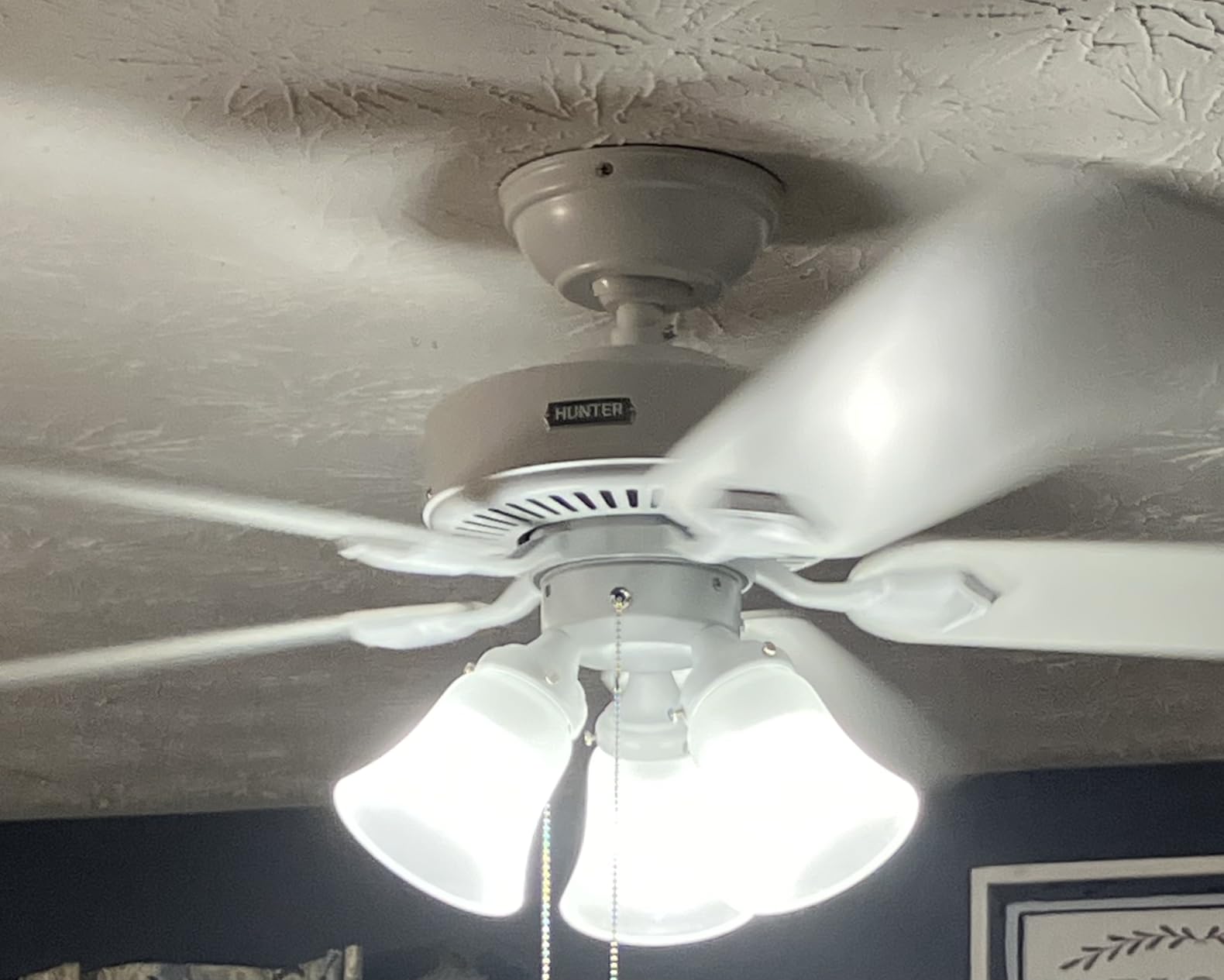 Hunter Swanson, Indoor, Ceiling Fan, with LED Lights, 44 inch, Fresh White customer photo 2