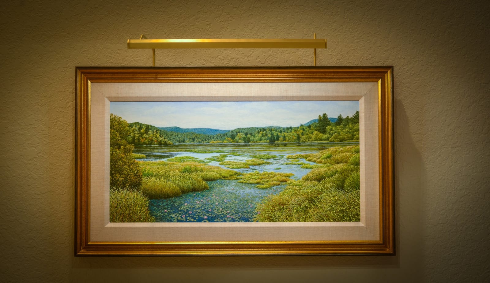 Plug-in Vision Series LED Fine Art and Picture Light customer photo 1