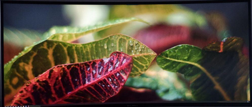 LG 38WN75C-B Monitor 38