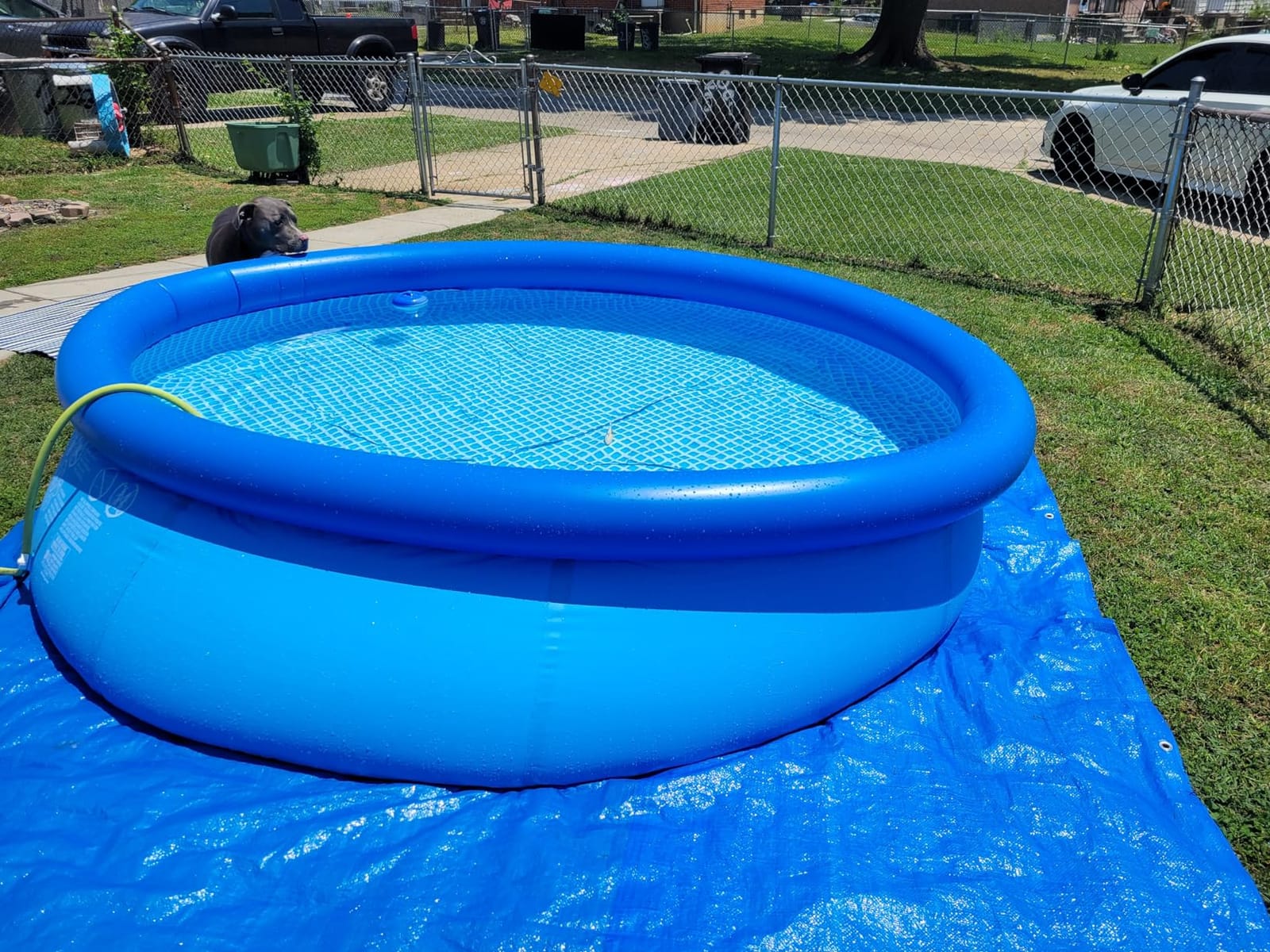 INTEX Easy Set 8ft x 24in Inflatable Ring Above Ground Swimming Pool customer photo 2