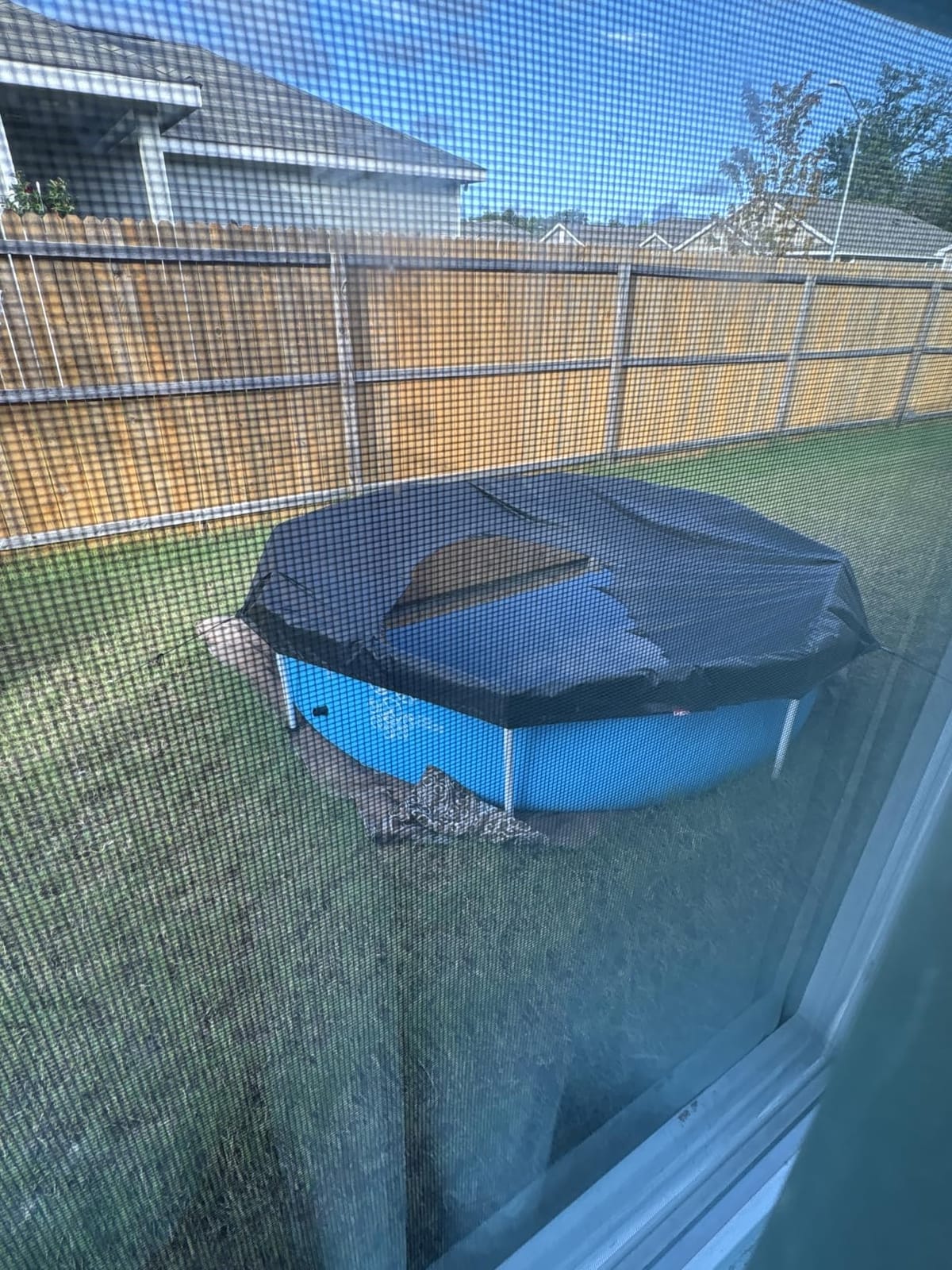INTEX Metal Frame 8ft x 20in Round Above Ground Swimming Pool customer photo 2