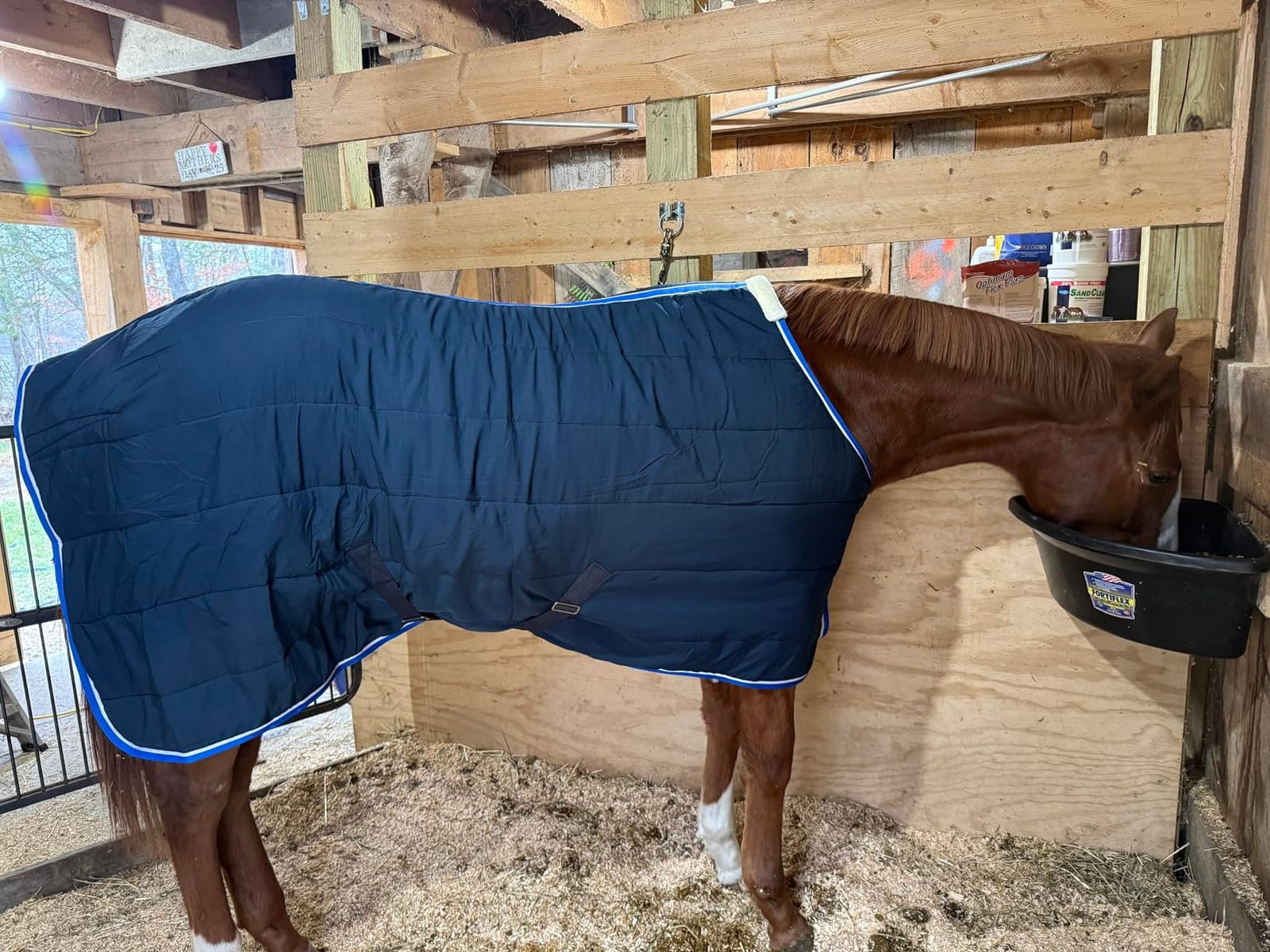 Horze Glasgow Anti-Slip Stable Horse Blanket (100g Fill) - Dark Blue - 78 in customer photo 2