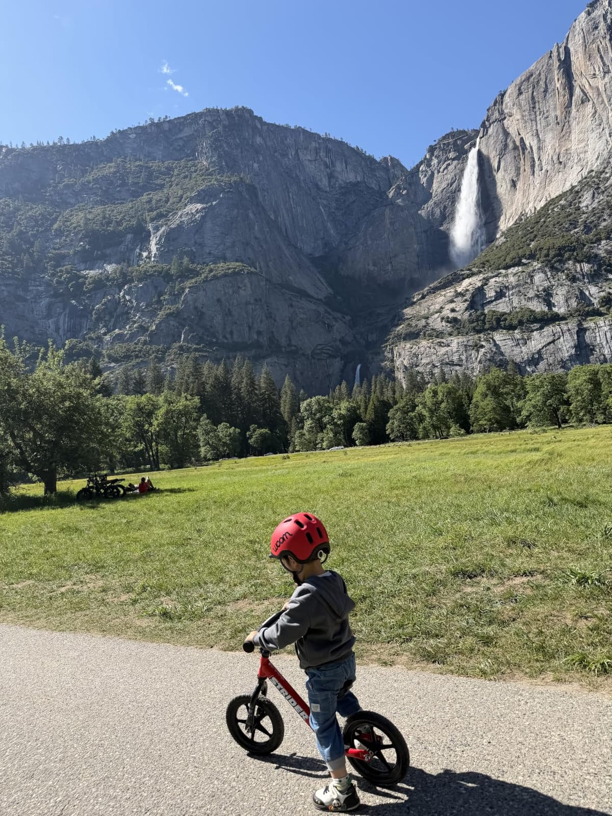 Strider 12 Sport, No Pedal Balance Bike for Kids Ages 1–4 Years, Matte Gray customer photo 1
