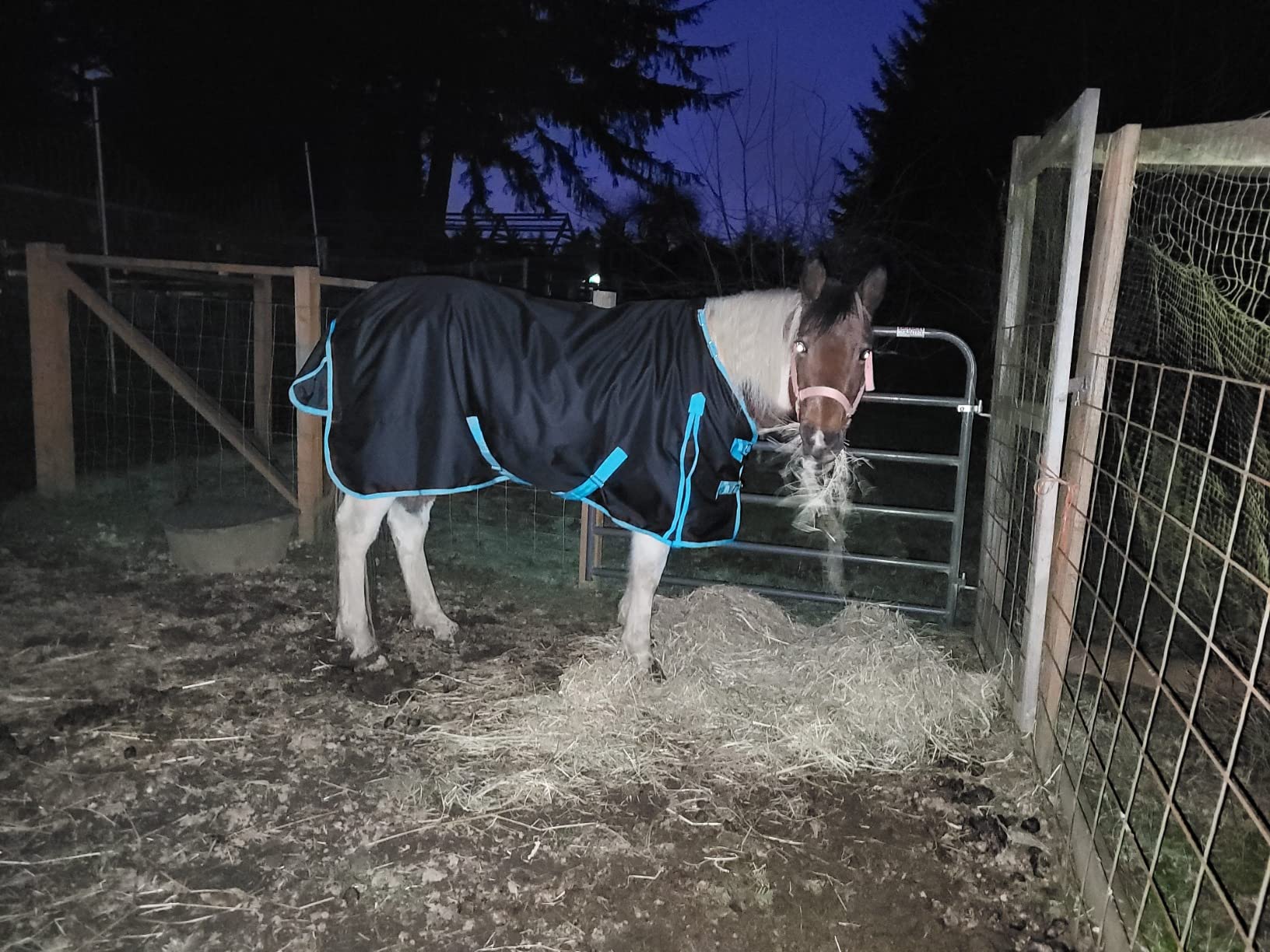 1200 Denier Horse RAIN Sheet (Waterproof/Breathable & Wind Proof Turnout Sheet) Horse Breathable RAINSHEET (Black-Turquoise, 80) customer photo 2