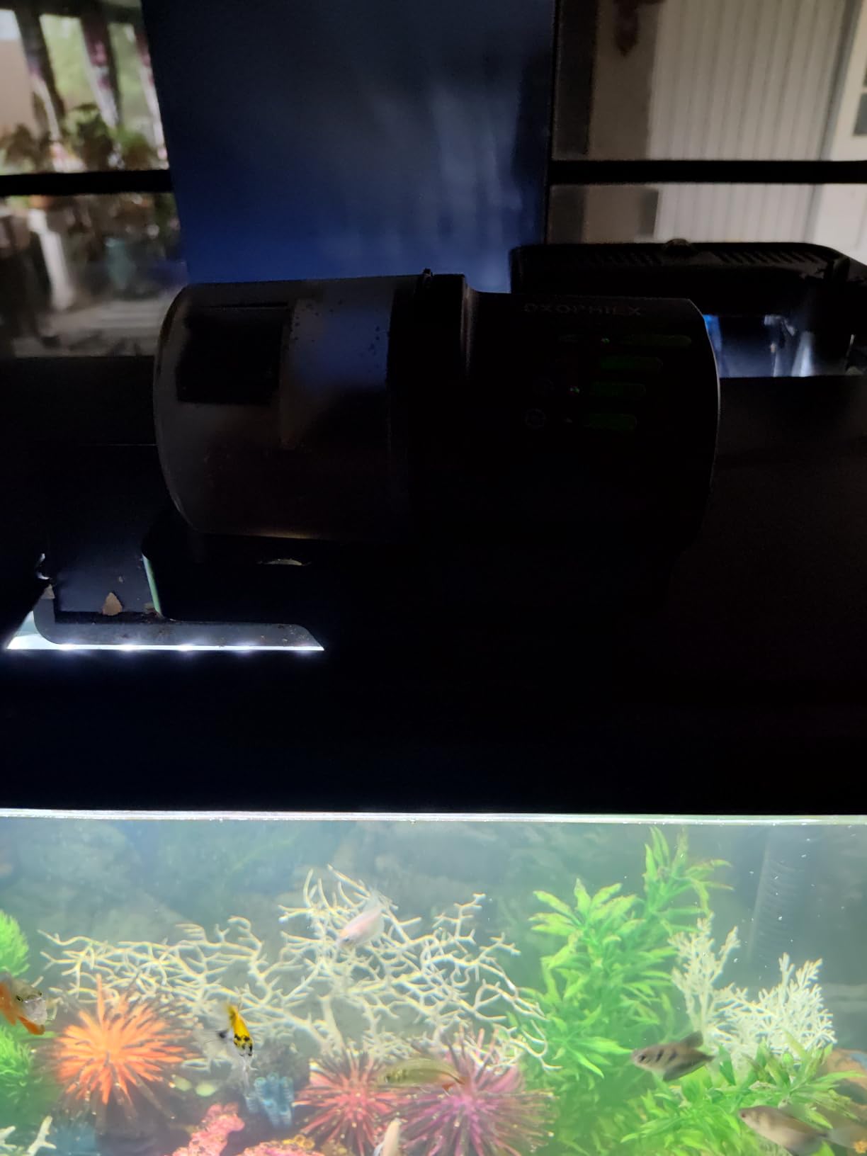 DXOPHIEX Automatic Fish Feeder Food Dispenser Vacation Fish Feeder | Powered by Battery and USB, For Aquarium and Turtle Tank customer photo 2