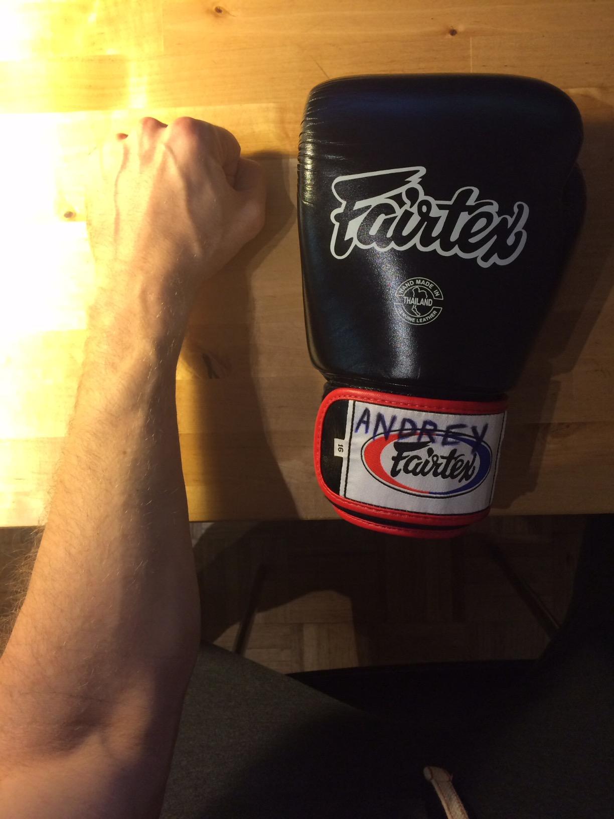Fairtex BGV1 Muay Thai Boxing Training Sparring Gloves for Men, Women, Kids| Premium Quality, Light Weight & Shock Absorbent Boxing Gloves customer photo 1
