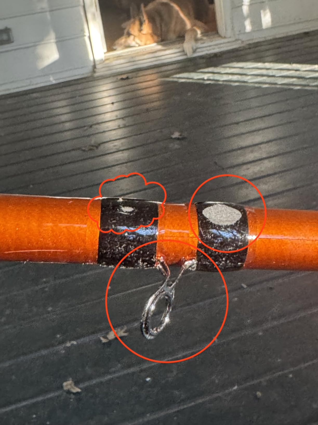 Ugly Stik Catfish Special Casting Fishing Rod customer photo 1