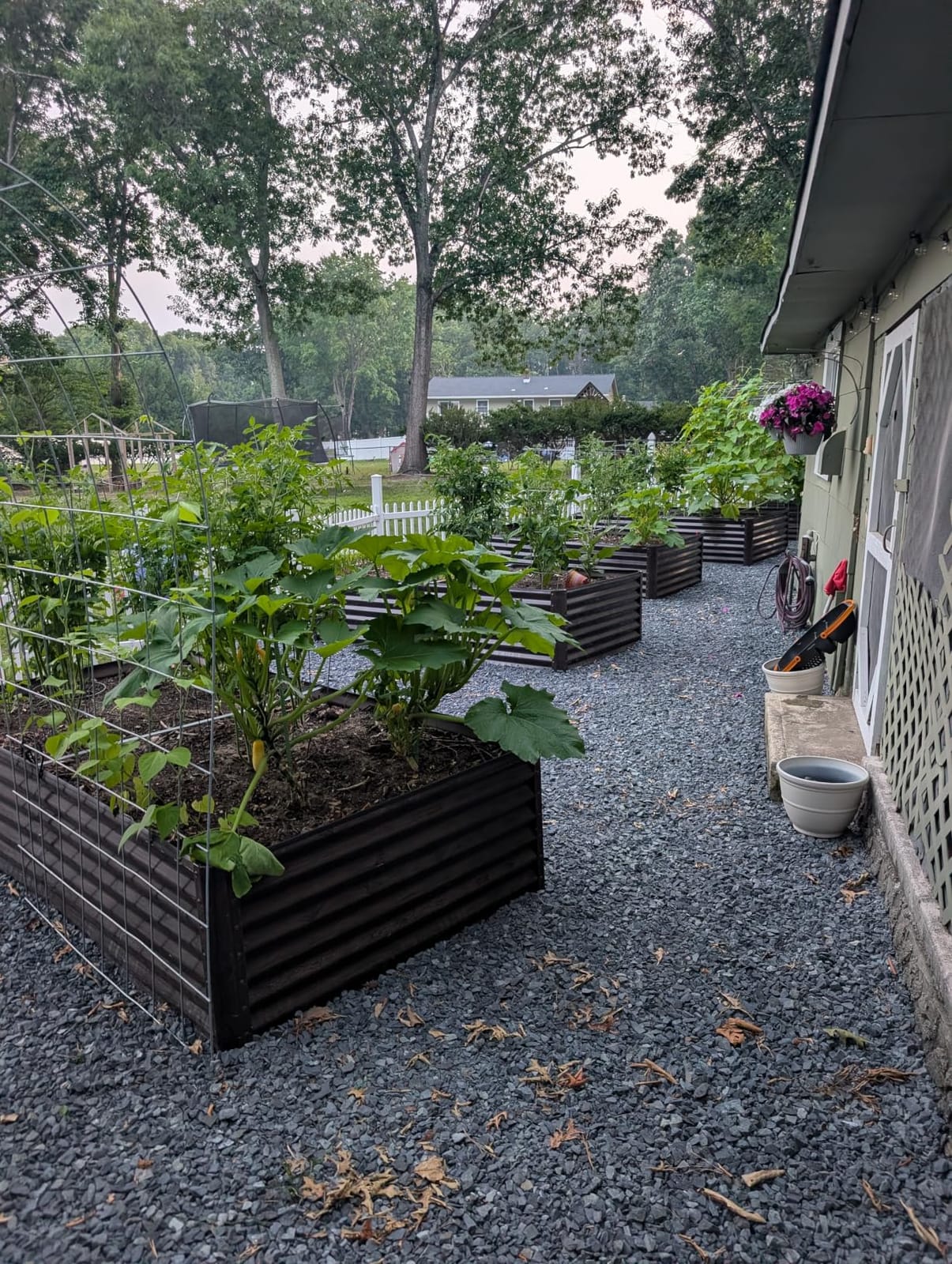 Best Choice Products 6x3x2ft Outdoor Metal Raised Garden Bed, Deep Root Box Planter for Vegetables, Flowers, Herbs, 269 Gallon Capacity, 100% Non Toxic Materials - Gray customer photo 1