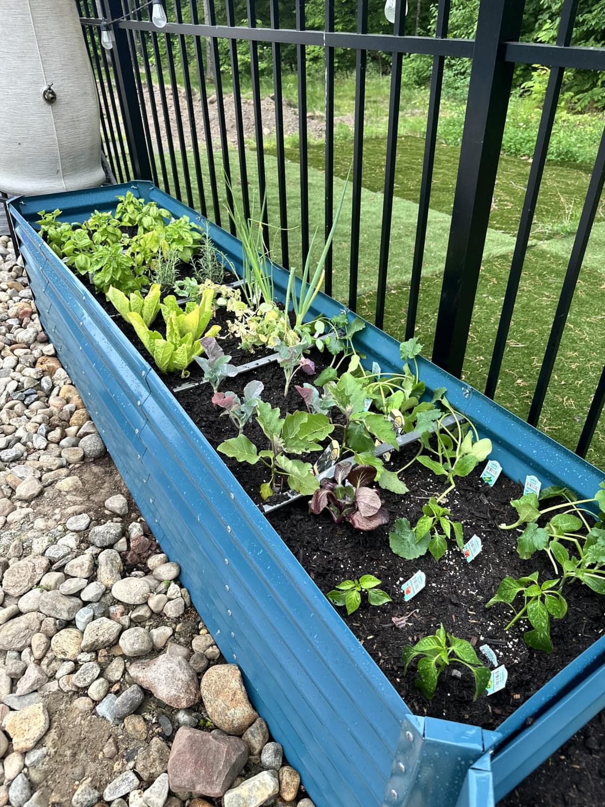 Best Choice Products 6x3x2ft Outdoor Metal Raised Garden Bed, Deep Root Box Planter for Vegetables, Flowers, Herbs, 269 Gallon Capacity, 100% Non Toxic Materials - Gray customer photo 2