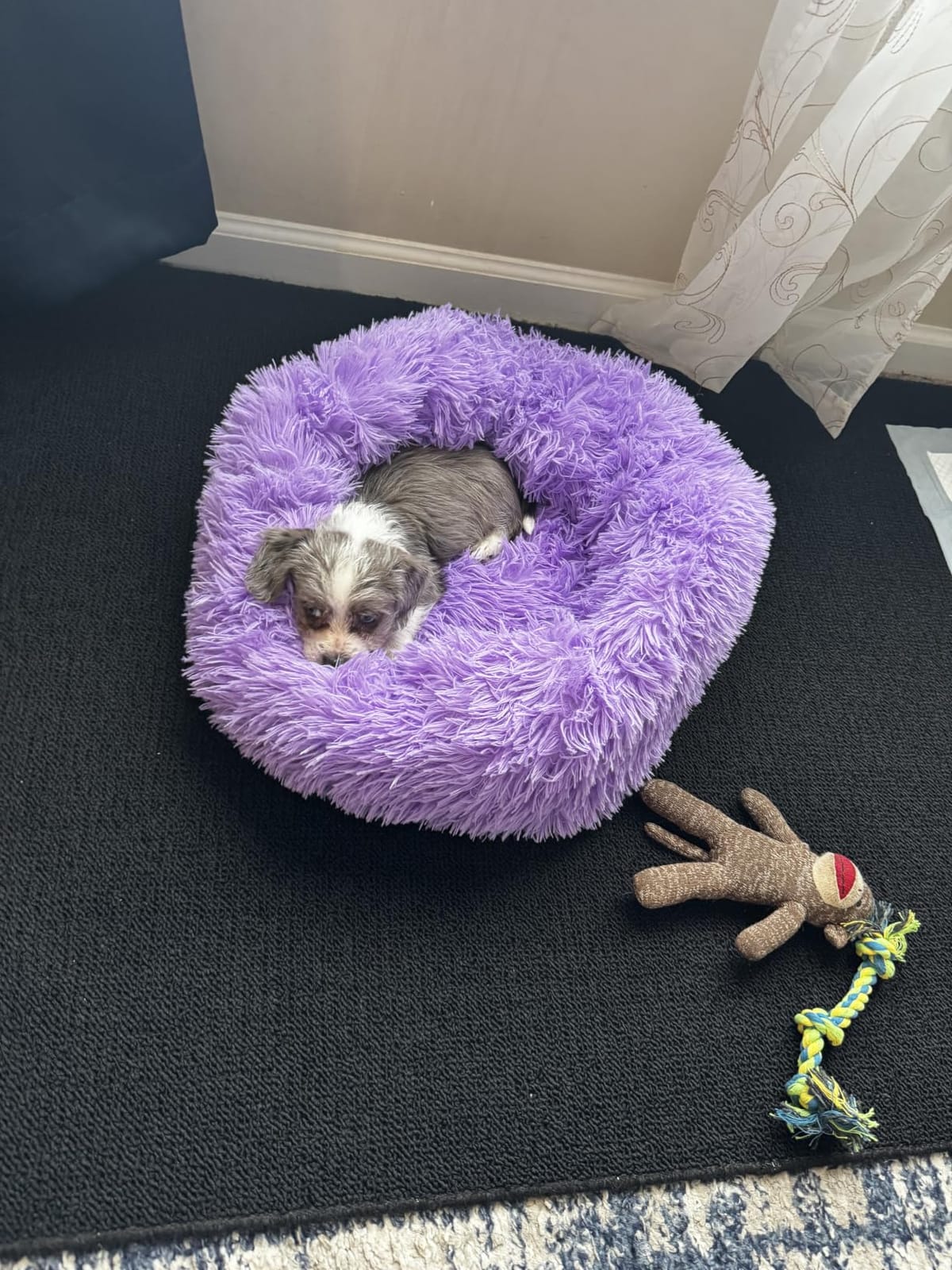 nononfish Calming Dog Bed for Small Dogs,Plush Donut Pet Bed customer photo 2