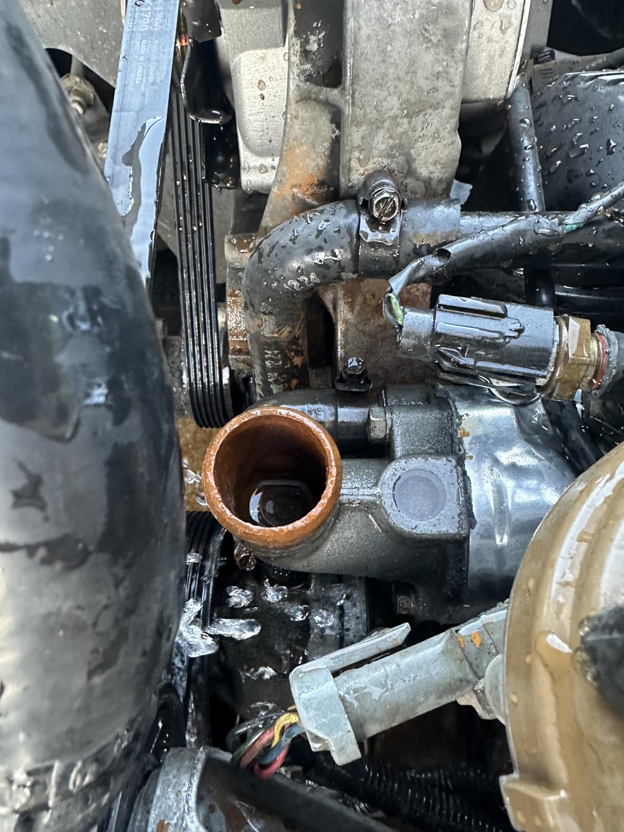 BlueDevil 3 in 1 Radiator Flush | 32 oz. | 1 Pack customer photo 1