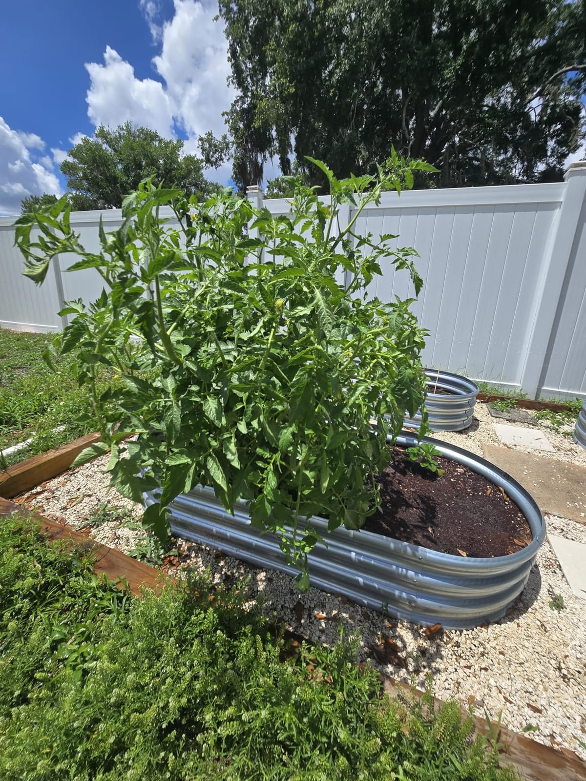 Rakukiri Raised Garden Bed GRS Certified Galvanized Planter Box Outdoor, 5ft Oval Rot-Resistant Metal Garden Bed Planter, Recycled Material Planter for Vegetables Flowers Herbs (Silver) customer photo 1