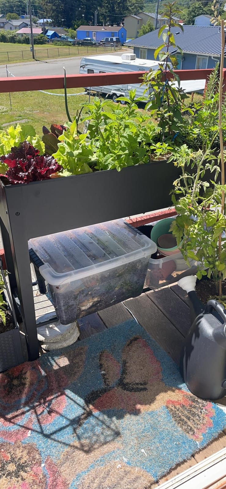 Piksedo Raised Garden Bed, Elevated Planter Metal Plant Box with Legs Standing Garden Stand Drainage Holes Frosted Black customer photo 1