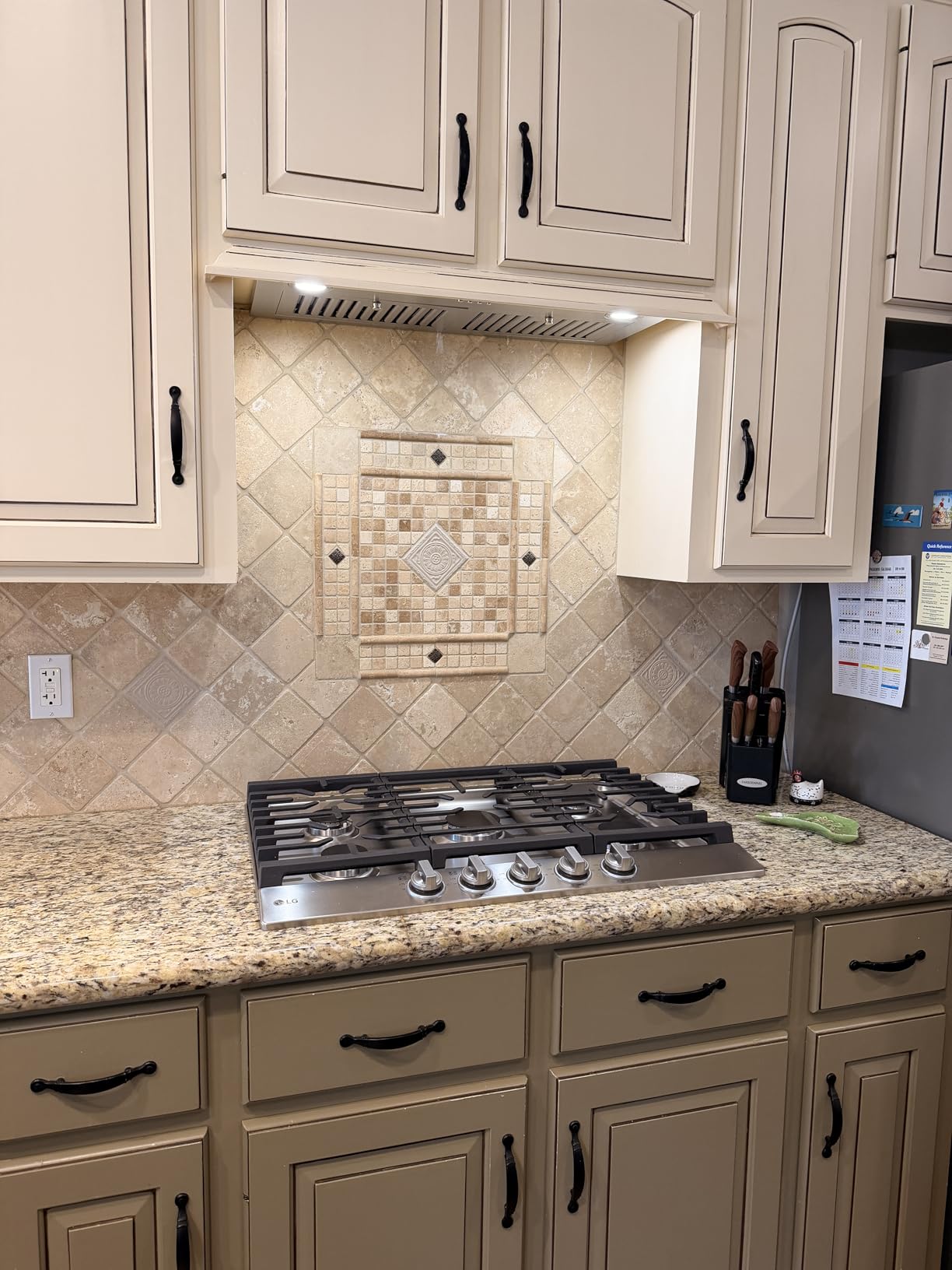 FIREGAS Range Hood Insert 30 inch, Built-in Kitchen Hood with 600 CFM customer photo 1