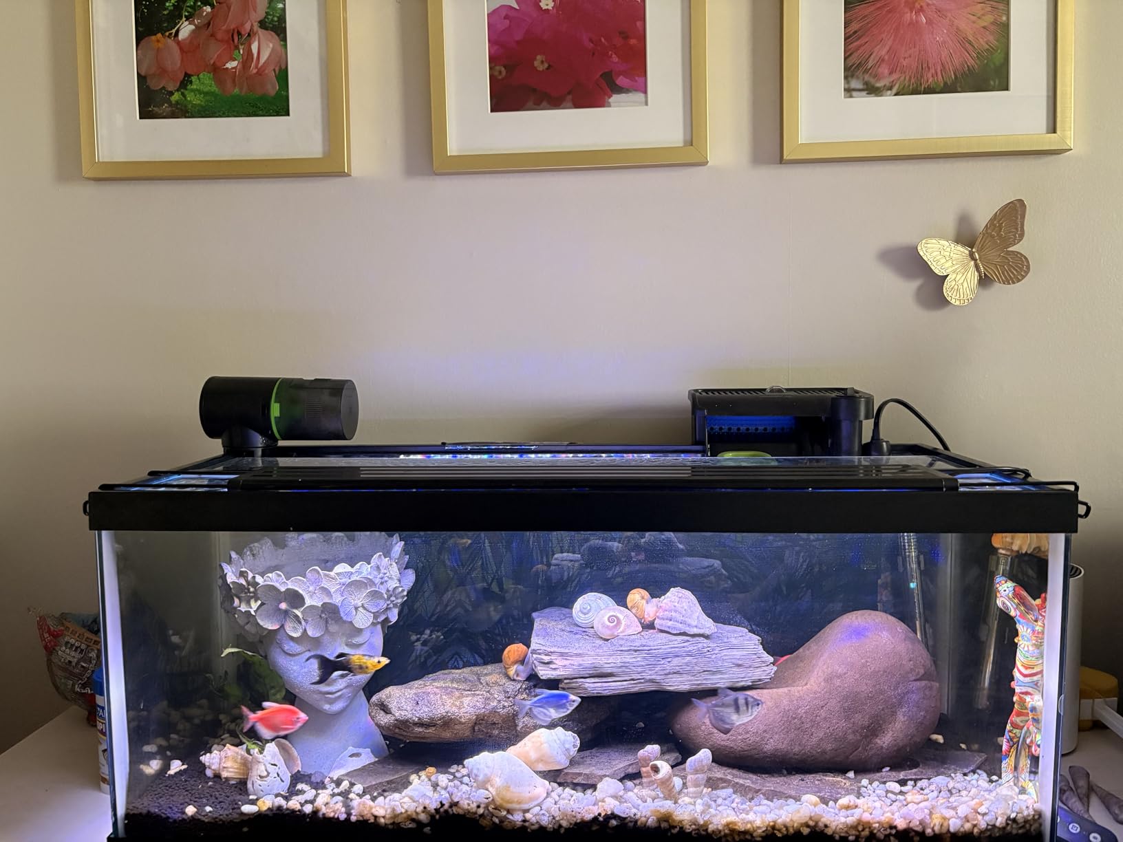 Freesea Automatic Fish Feeder for Aquarium: One-Touch Easy Setup & 3 Timers | 7-14 Day Supply with 200ML Food Dispenser - Worry-Free Vacation Feeding for Betta Turtle Tank customer photo 1