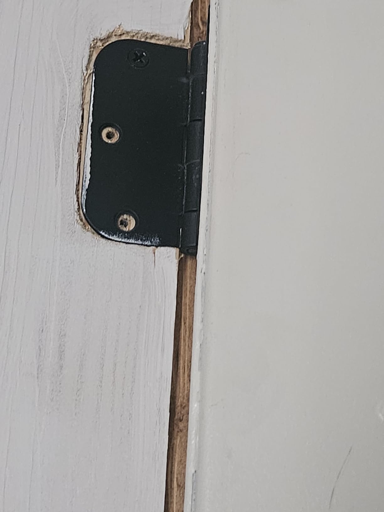 TDCHINGES Rounded Matte Black Door Hinges 3.5 Inch 5/8