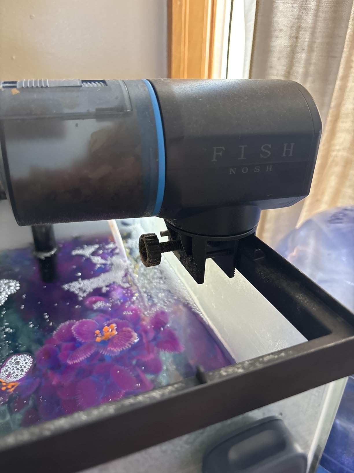 FISHNOSH Automatic Fish Feeder for Aquarium - New Generation 2026, Auto Food Dispenser with Timer for Small Tank, Big Aquariums & Pond (Blue) customer photo 1