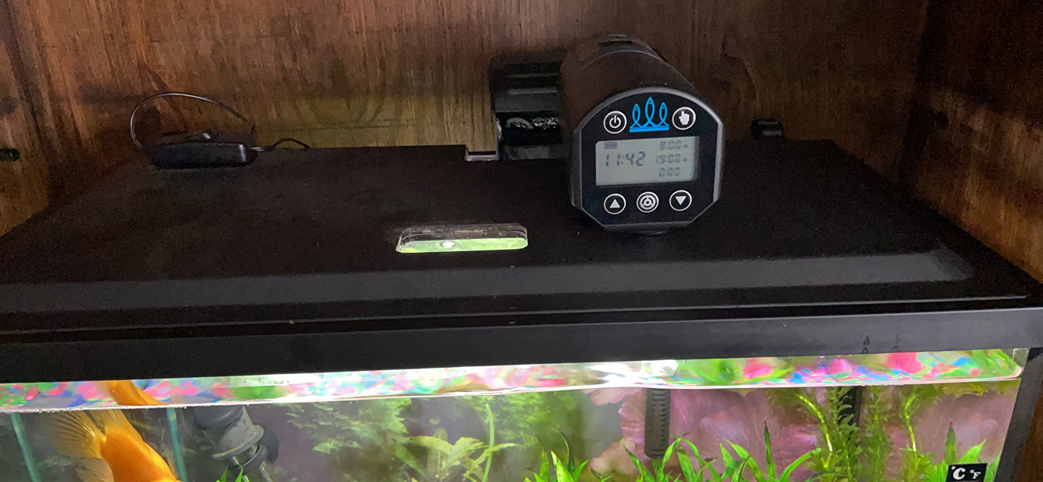 FISHNOSH Automatic Fish Feeder for Aquarium - New Generation 2026, Auto Food Dispenser with Timer for Small Tank, Big Aquariums & Pond (Blue) customer photo 2